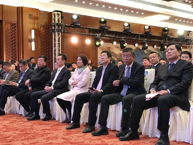 董明珠在現(xiàn)場(chǎng)演講時(shí)表示，她愿意拿她所有的資產(chǎn)投入到珠海銀隆里。據(jù)悉，同時(shí)與珠海銀隆原始股東共同簽署增資協(xié)議的，還有董明珠個(gè)人及北京燕趙匯金國(guó)際投資有限責(zé)任公司、大連萬(wàn)達(dá)集團(tuán)股份有限公司、江蘇京東邦能投資管理有限公司等3家知名企業(yè)，5家單位或個(gè)人共同增資30億，獲得珠海銀隆22.388%的股權(quán)。