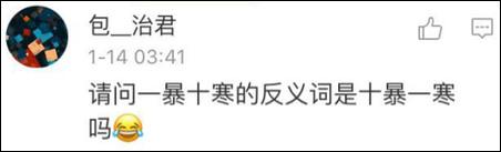 鶴立雞群？雞立鶴群！