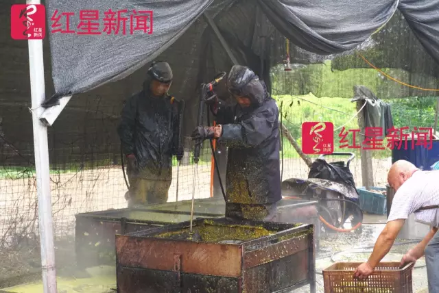 文玩核桃遇冷由幾萬一對降到5元沒人要？商戶否認