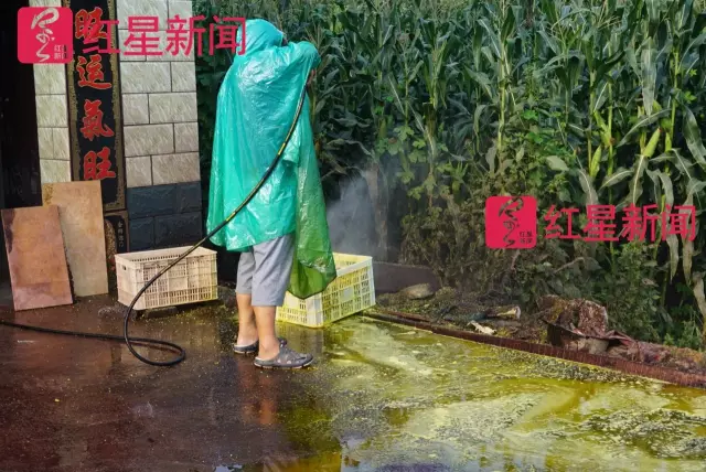 文玩核桃遇冷由幾萬一對降到5元沒人要？商戶否認