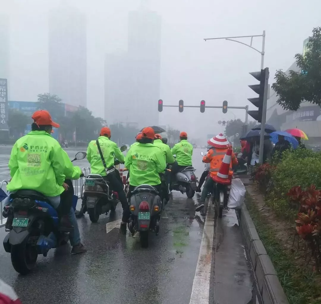 出門打驢？ 南寧“滴滴打驢”被緊急叫停