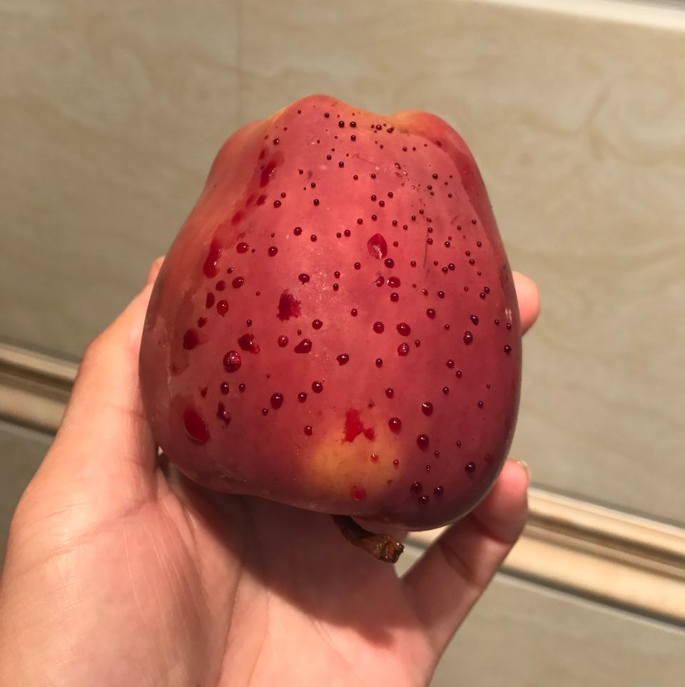 嚇懵！女子用熱水泡蘋果結果冒出血珠 咋回事？