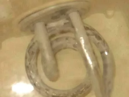 太惡心！女游客竟用酒店燒水壺煮自己的臟內(nèi)褲