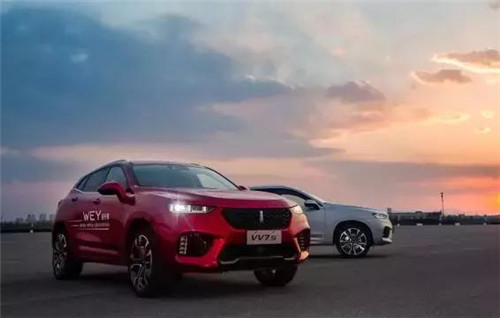 去年“蹦”出來的新汽車品牌們，現(xiàn)在活得怎么樣了？