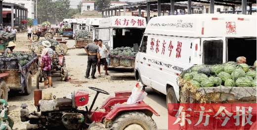 昨日，東方今報(bào)與河南福壽園聯(lián)合購瓜，只有更多的市民和企業(yè)加入購瓜行動，瓜農(nóng)們才能早日回家