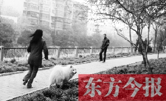12月3日，鄭州市南關(guān)街熊兒河旁，一名遛狗的女子見到執(zhí)法人員檢查，迅速跑開