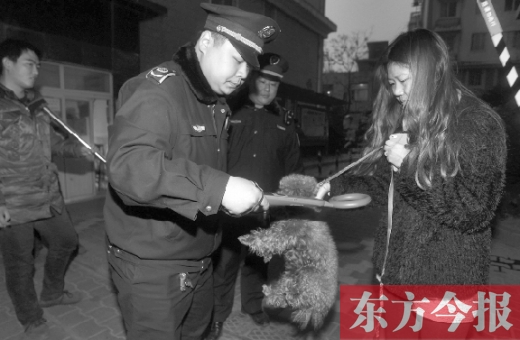 12月3日早上6點半，鄭州市南關(guān)街熊兒河旁，南關(guān)街辦事處的執(zhí)法人員對狗進行排查