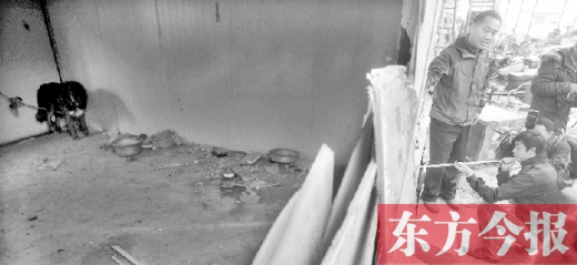 12月4日，鄭州市未來路與隴海路交叉口西側(cè)，執(zhí)法人員用吹管麻醉針對付一只藏獒