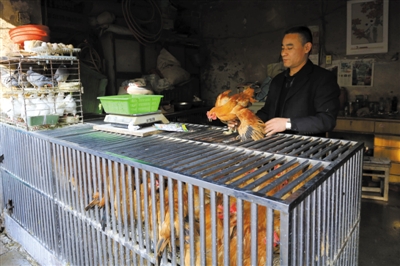 南京另一家農(nóng)貿(mào)市場內(nèi)待售的活雞。因南京出現(xiàn)H7N9禽流病例，買活雞的顧客減少。