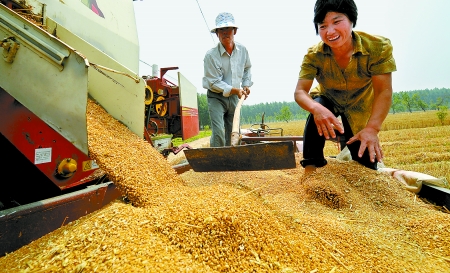 6月3日， 濮陽(yáng)開發(fā)區(qū)胡村鄉(xiāng)后范莊村的續(xù)秀萍看著新打的粒大飽滿的小麥喜上眉梢。