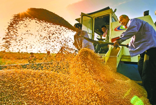 根據(jù)國家統(tǒng)計(jì)局核定結(jié)果，我省2012年糧食總產(chǎn)量達(dá)到1127.72億斤，成為第9個連續(xù)增產(chǎn)年份。