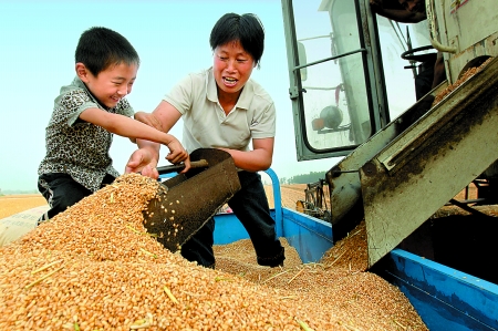 5月27日，確山縣劉店鎮(zhèn)前槽村郭景蓮和小孫子一起收獲小麥，豐收的喜悅寫在了臉上。