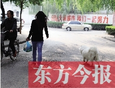 啟明一巷內(nèi)，一名女子帶著狗狗去買菜。狗隨地大小便，狗的主人未制止