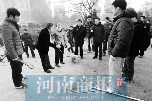 一只辦過狗證的小白狗，因?yàn)闆]有拴犬鏈，被執(zhí)法人員暫扣