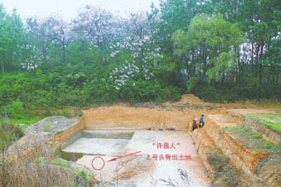 靈井鎮(zhèn)“許昌人”遺址出土第二顆古人類(lèi)頭骨化石