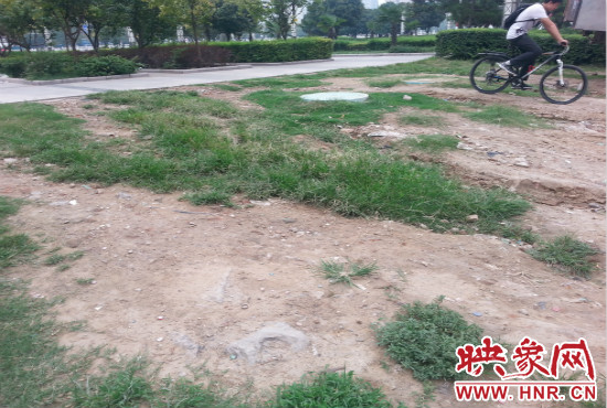 公園內(nèi)大片草坪遭到破壞。