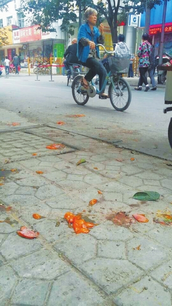 爛了一地的柿子影響市容，還常?；谷恕? width=
