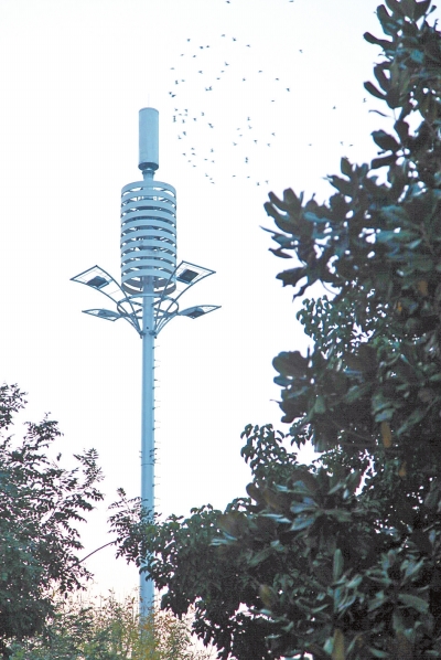 建在紅線內的4G信號發(fā)射塔
