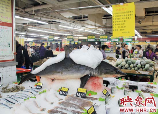 鄭州市一家超市海鮮區(qū)的冰架上赫然擺著一整條鯊魚在出售，鯊魚肉價(jià)格為23.80元每斤，遠(yuǎn)低于牛羊肉的價(jià)