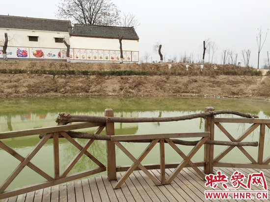 護(hù)欄損毀的地方，已經(jīng)被兩根樹(shù)干擋住。