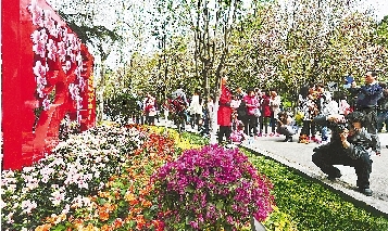 市民紛紛將鏡頭對準花叢。