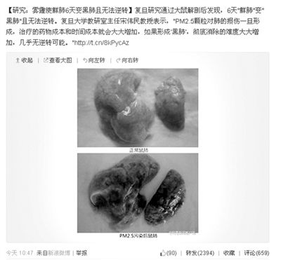 昨天，一則“霧霾使鮮肺6天變黑肺”的新聞在網(wǎng)上引發(fā)熱議。網(wǎng)絡(luò)截圖