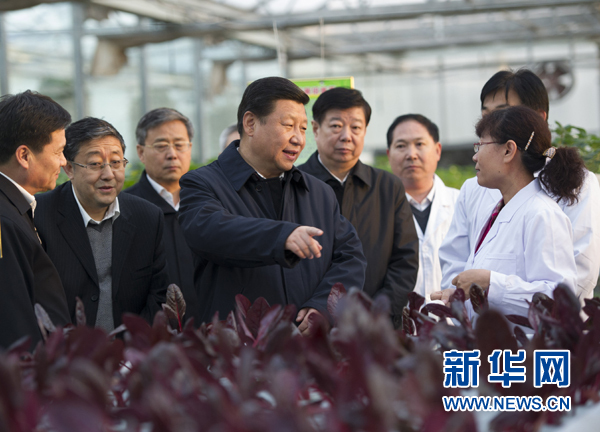  27日下午，習(xí)近平在山東省農(nóng)業(yè)科學(xué)院智能化溫室了解農(nóng)業(yè)科技創(chuàng)新情況。