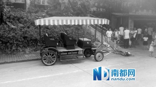 園方則稱解剖后發(fā)現(xiàn)馬死于心臟衰竭，“與累無(wú)關(guān)”。