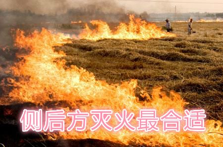 不要在風頭上打火：風正大，火正旺，最容易傷人；