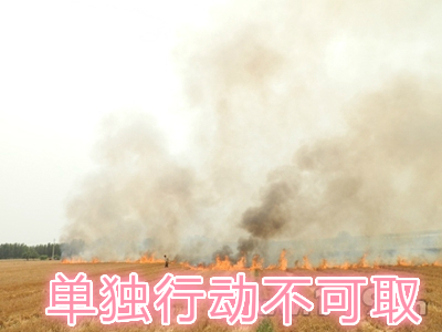 不要單獨一個人亂沖亂打：單獨行動被煙氣沖昏倒地，無人發(fā)覺被燒；