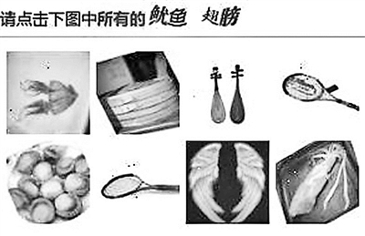 請(qǐng)惡補(bǔ)魷魚(yú)和章魚(yú)的區(qū)別