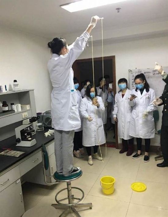 愛吃生肉惹的禍！男子體內(nèi)取出5米長寄生蟲(圖)