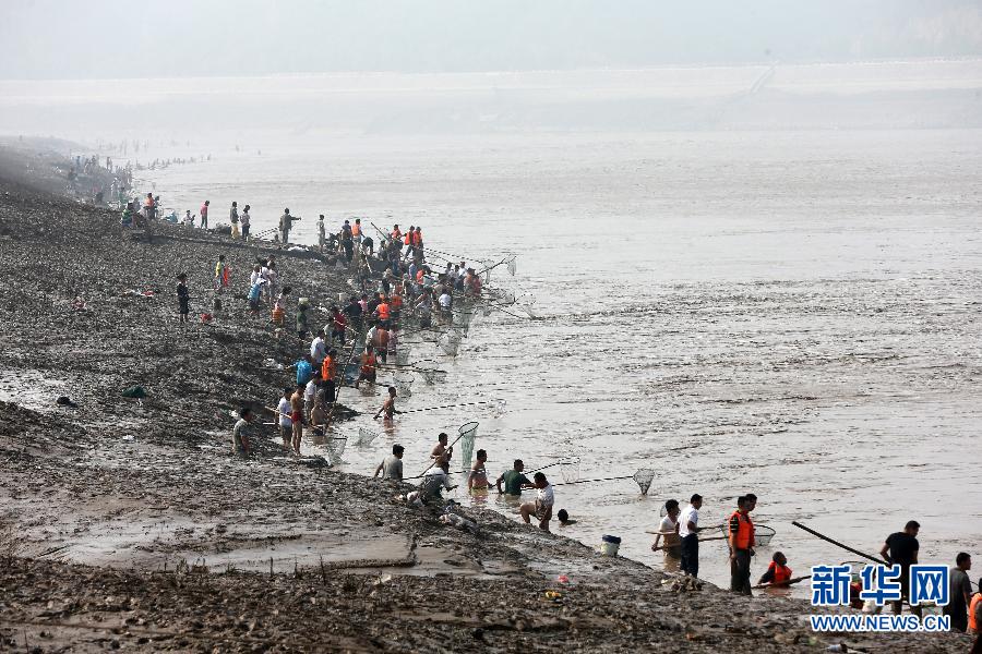 7月6日,在山西省平陸縣黃河岸邊,人們在河邊捕撈黃河“流魚”。