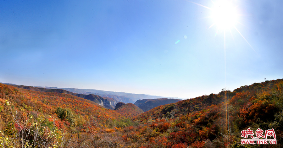 山頂遠(yuǎn)眺，紅葉已經(jīng)綻放出絢麗的色彩
