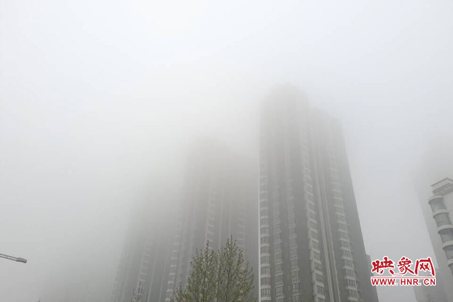 鄭州現(xiàn)大霧天氣，宛若仙境