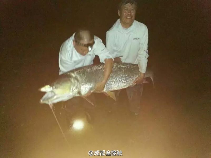 圖為大魚需要兩個人抱起。