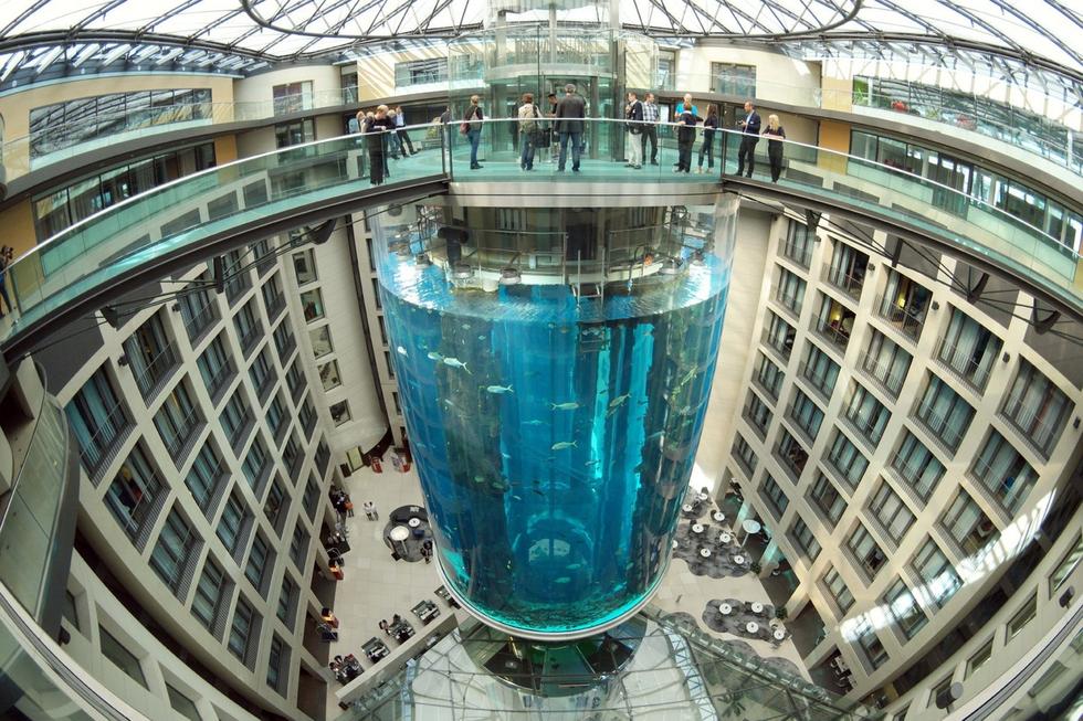 在圓柱水族館主體下方，還有一些別的展館。