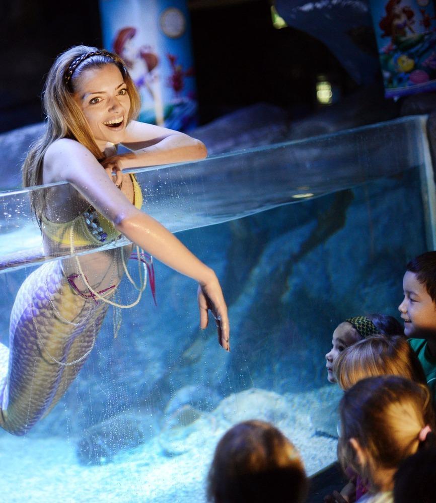 德國女演員安妮·門登在水族館里客串了一把“美人魚”，順便為她的電影《小美人魚》做宣傳。