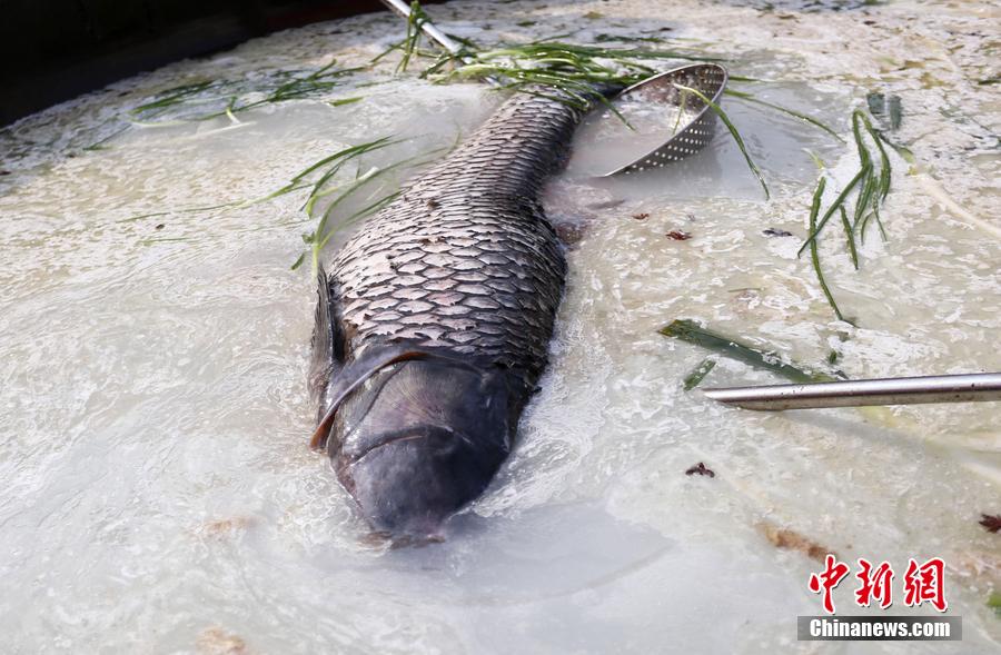 “魚王”在3米大鍋內(nèi)烹飪。 圖片來源：CFP視覺中國