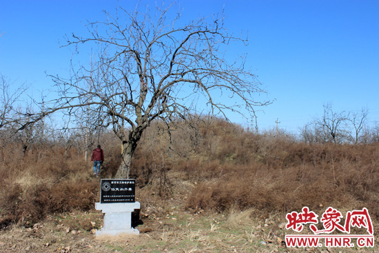 在叔齊墓的前面，豎著新鄭市人民政府今年剛立的石碑，上面寫著“新鄭市文物保護單位”。