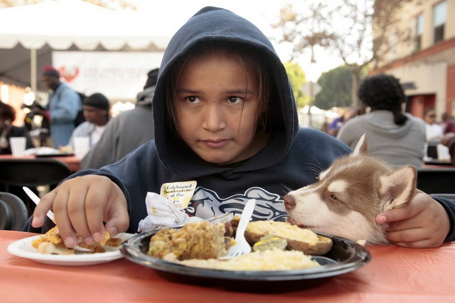 11月21日，加州洛杉磯的游民巷，12歲的堂娜·赫南德茲抱著愛犬“湯米”，安靜地吃著免費的感恩節(jié)飯菜