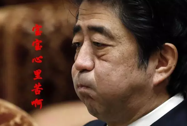 這種看安倍“熱鬧”的事兒，環(huán)環(huán)絕不私藏，一定雨露均沾!
