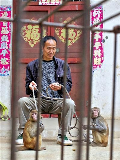 10月13日，耍猴人鮑慶山牽著從牡丹江帶回的兩只小猴在家門口玩耍。