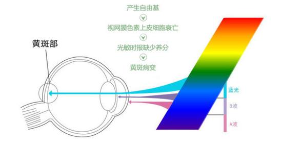 真能亮瞎眼？如何減少手機(jī)對(duì)眼睛的傷害