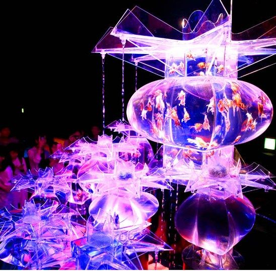 東京都中央區(qū)的日本橋三井大廳舉行水缸藝術展覽“Art Aquarium”
