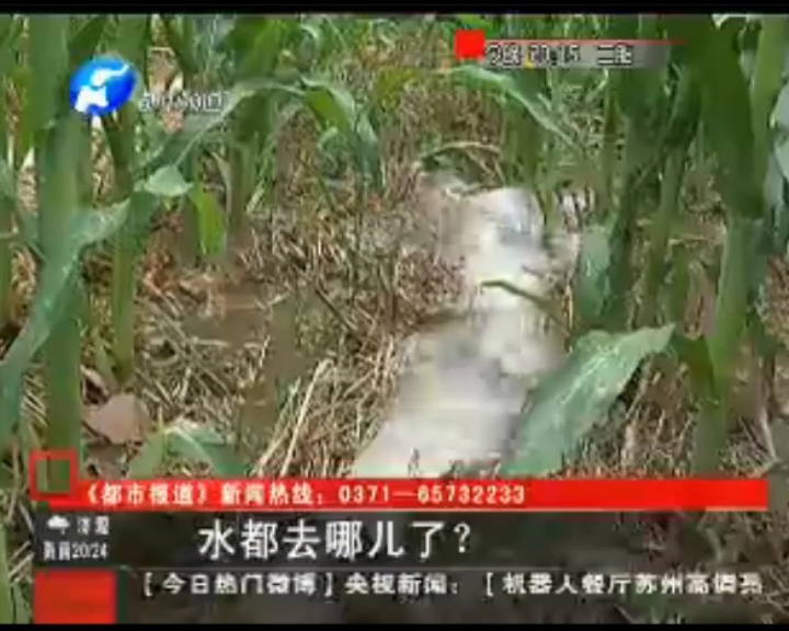 水都去哪了？