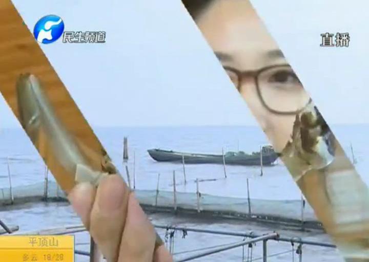 陽澄湖大閘蟹？假的！