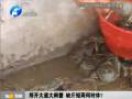 鄭開大道大閘蟹 缺斤短兩何時(shí)休？