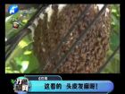 這看的 頭皮發(fā)麻呀！-打漁曬網(wǎng)