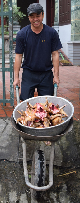 越南貓肉餐廳：將貓淹死、剝皮、切成小塊，再油炸